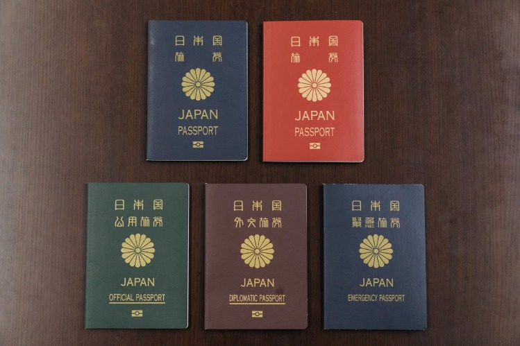 戴维森力挺,世预赛,本月力争全,香港赛马,赛马赛事,香港马术比赛,赛马资讯